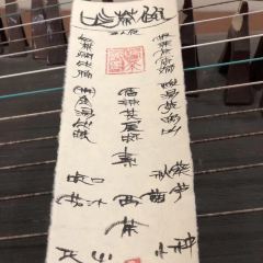 吃茶趣-预定制 User Photo
