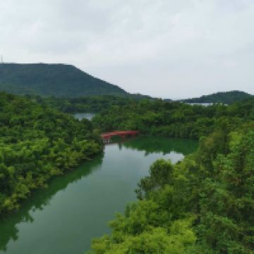評論圖片 2