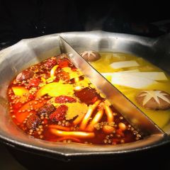 Coucouhuoguo·chaqi (laifushiguangchangzhangning) User Photo