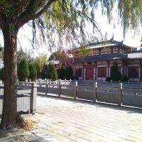 評論圖片 4