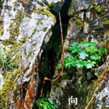評論圖片 4