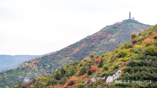 崛圍山景區