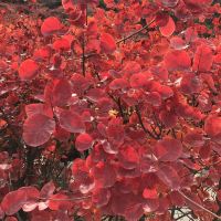 評論圖片 7