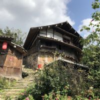 評論圖片 5