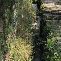 評論圖片 6
