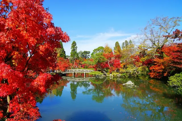 Maple Season! Who Can Deny that It’s The Prettiest Moment in Kyoto?