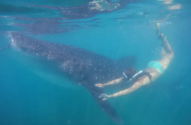 10 Must-See Sights of Cebu