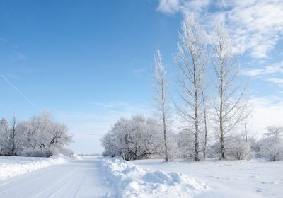 Чанчунь