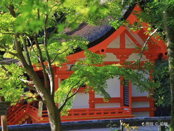 Izumo Dai-jingū Shrine