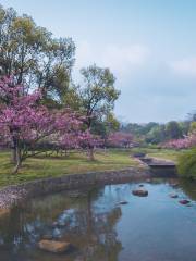 룽베이산 삼림공원