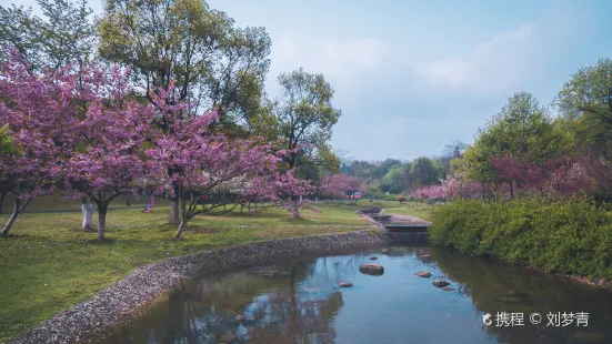 Longbeishan Forest Park