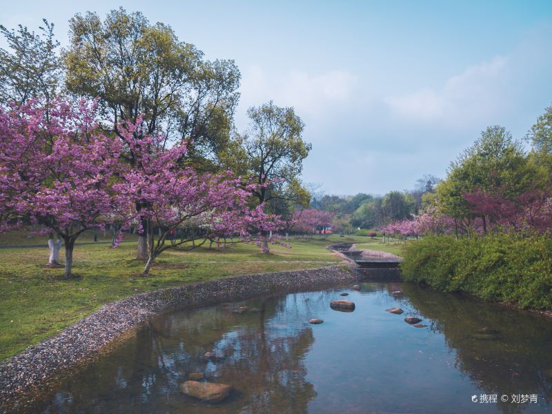 룽베이산 삼림공원