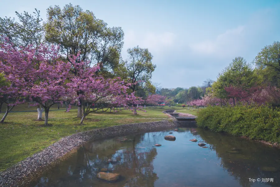 룽베이산 삼림공원