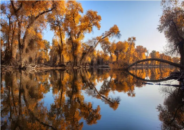 China’s 10 Most Beautiful Pristine Forests