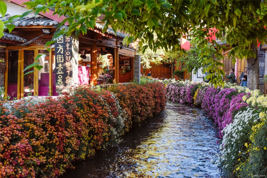 Square Market