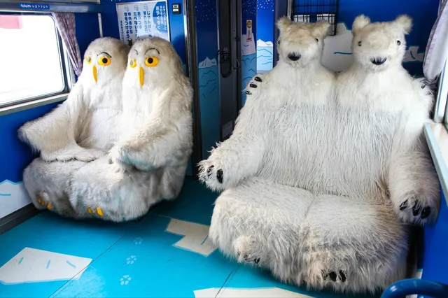 Hot Springs in the Snowy Mountains: Exploring Asahikawa and Sounkyo Gorge