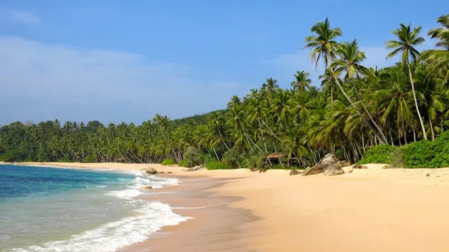A Guide to Great Beaches in Sri Lanka