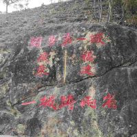 評論圖片 5