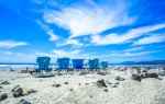 Pismo State Beach