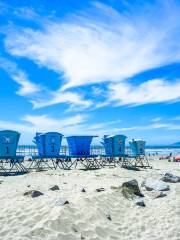 Pismo State Beach