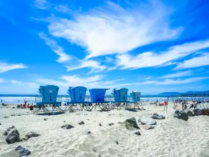 Pismo State Beach