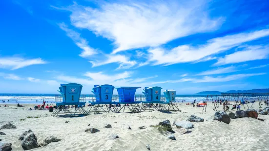 Pismo State Beach