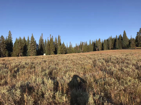 イエローストーン湖 ティトン の旅行レビュー Trip Comトラベルガイド