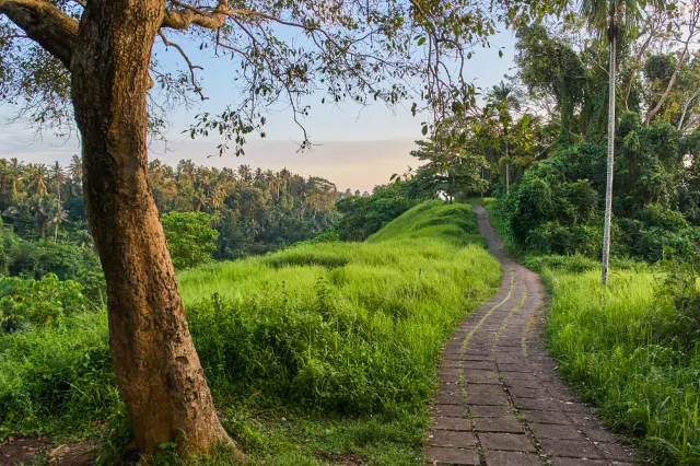 What To Do In Ubud With The Kids: 3 Easy Treks For The Family