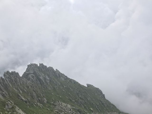 altTitle