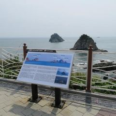 釜山 プサン オリュクド 五六島 スカイウォーク 評判 案内 トリップドットコム 釜山 プサン オリュクド 五六島 スカイウォーク 評判 案内 トリップドットコム