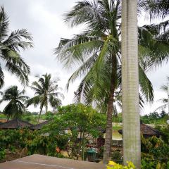 Istana Nelayan Resto User Photo