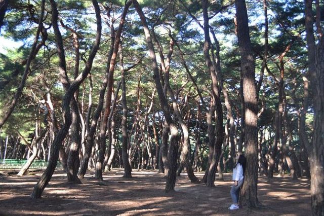 Namsan Mountain of Gyeongju