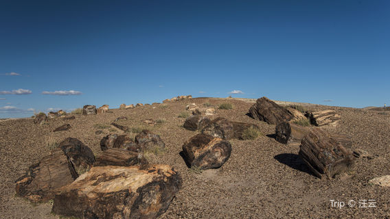 Rainbow Forest Museum and Visitor Center