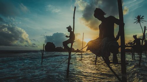 Stilt Fisherman