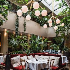 Alcazar張用戶圖片