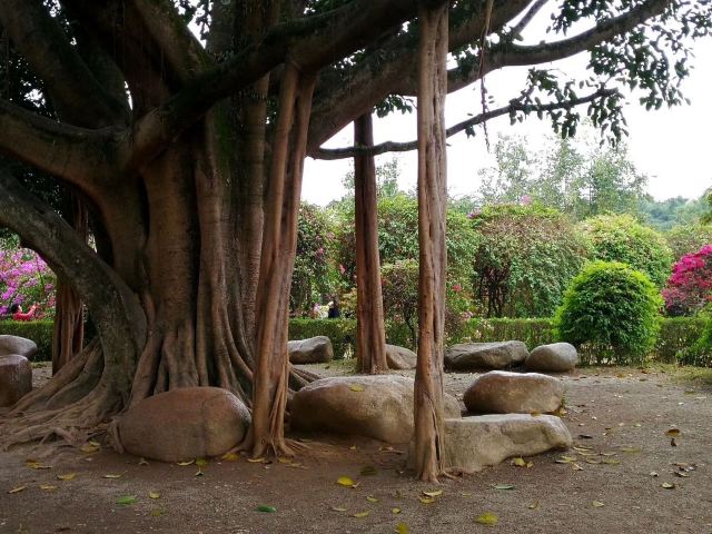 Daluo Forest Park