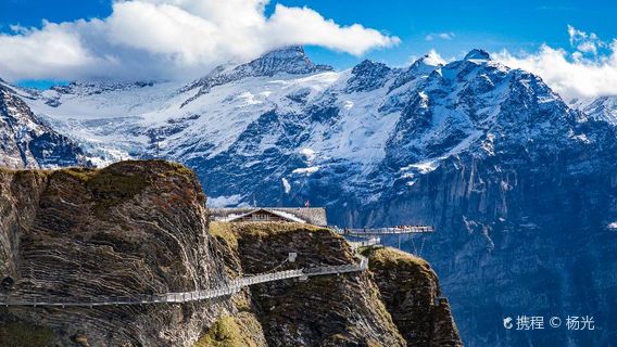 GrindelwaldTours