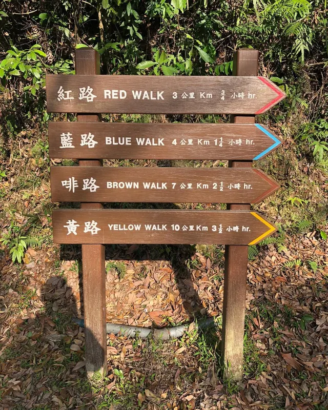【行山路線推介🌄】6條香港初級簡易行山徑，✅靚景✅3小時✅新手