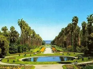 Jardín Botánico El Hamma
