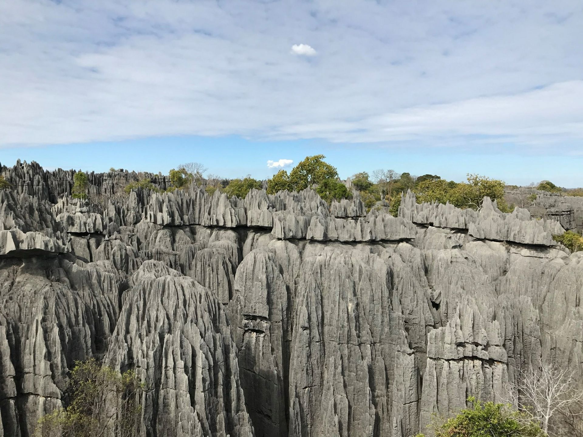 Tsingy De Bemaraha Strict Nature Reserve Travel Guidebook Must Visit Attractions In Antsalova Tsingy De Bemaraha Strict Nature Reserve Nearby Recommendation Trip Com Tsingy De Bemaraha Strict Nature Reserve Travel Guidebook Must Visit Attractions In Antsalova Tsingy De Bemaraha Strict Nature Reserve Nearby Recommendation Trip Com