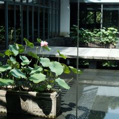 GUIYU RESTAURANT User Photo