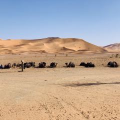 ドラア タフィラルト メルズーガの大砂丘 評判 案内 トリップドットコム