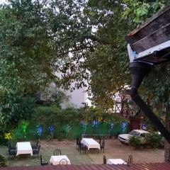 House of Memories User Photo