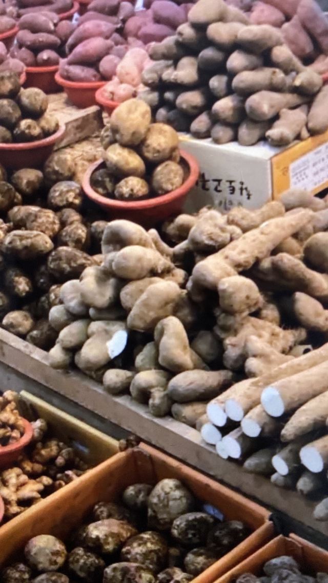 중문향토오일시장