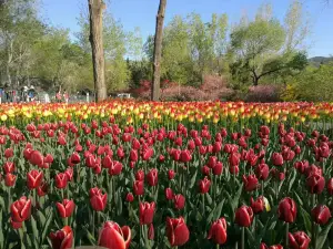 香山公園