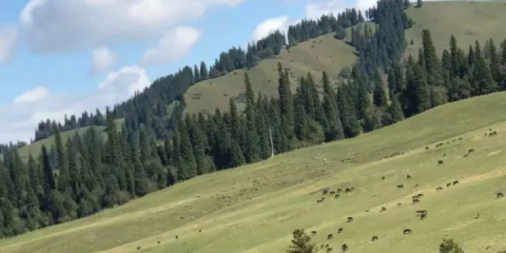 總閘口玉都烤包子