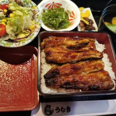 Unagi Notoyokawa張用戶圖片