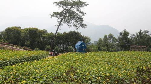 流渓河国家森林公園