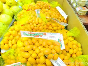 Mixon Fruit Farms