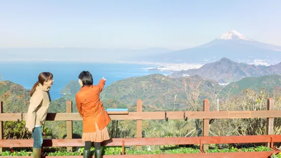 Izunokuni Panorama Park